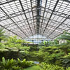 Inside Garfield Park Conservatory